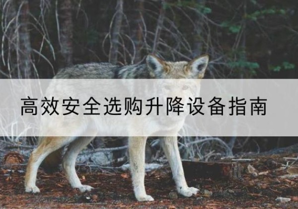 台山升降货梯厂家推荐-*安全选购升降设备指南