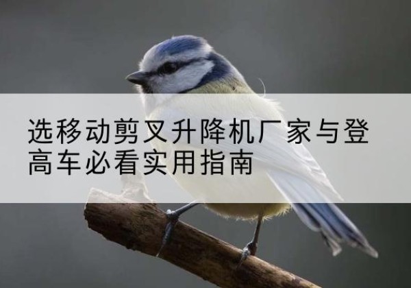 台山电动升降机厂家-选移动剪叉升降机厂家与登高车必看实用指南