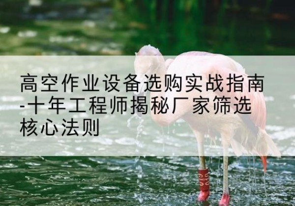 台山剪叉式升降机厂家-高空作业设备选购实战指南-十年工程师揭秘厂家筛选核心法则